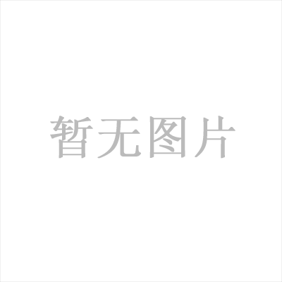 Mobile phone